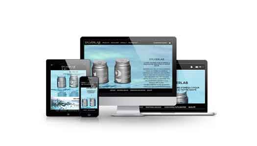 site ecommerce